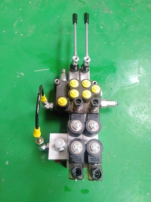 Wireless Remote Control Multiway Valve Straight Through Style 24V