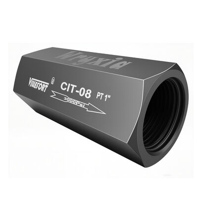 Compact Design Hydraulic Check Valve with High Tensile Strength and Stable Valve Body for Dump Trucks